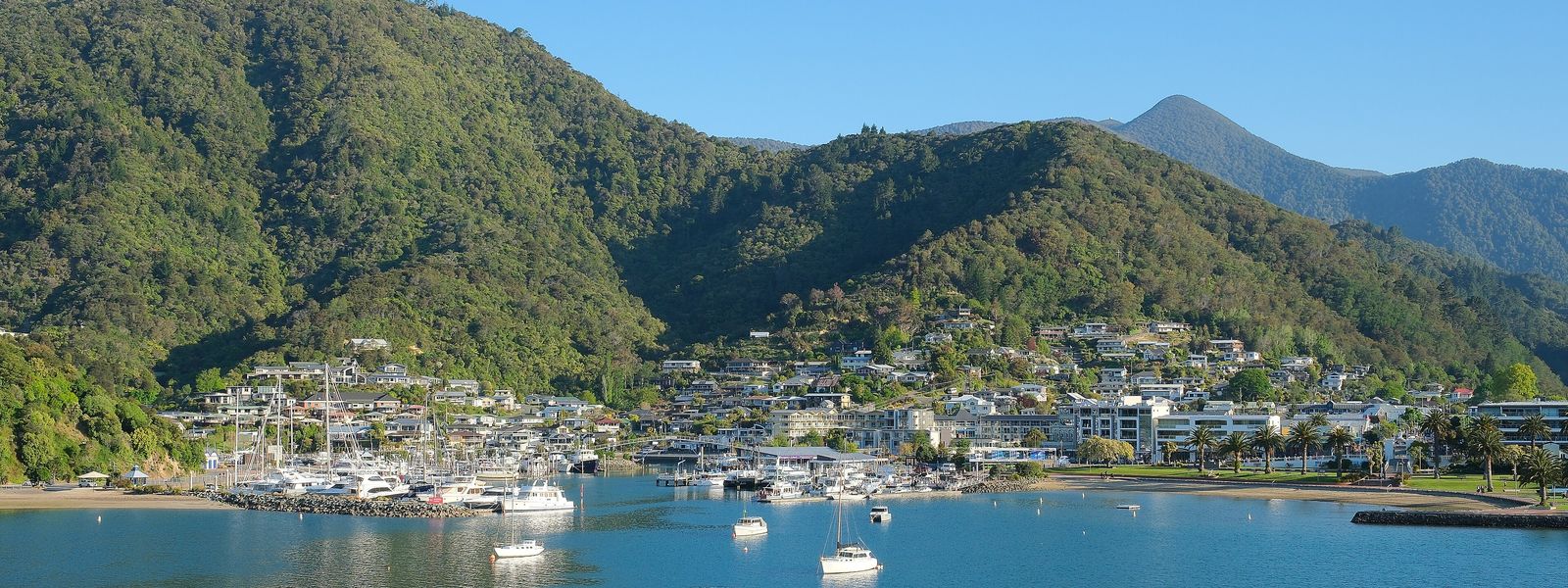Picton marina and town at the head of Queen Charlotte Sound.