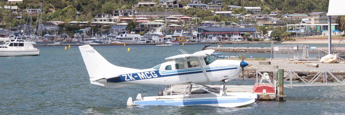 Picton harbour with the town rising up the hillside behind the marina.