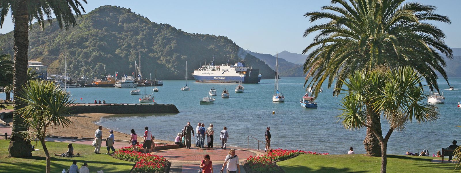 The Picton foreshore with the Cook Strait ferry berthed across the bay.